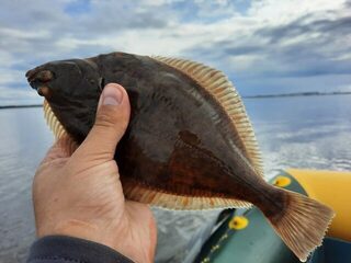 Успеть побыть на теплом берегу Белого моря