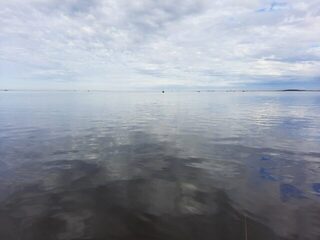 Успеть побыть на теплом берегу Белого моря
