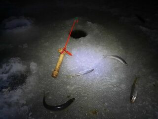 Белое море, Северодвинск: случайный лёд удалось застать, но сегодня его, возможно, нет