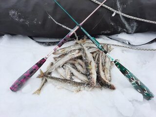 На Белом море забыл ввертыши и едва не остался без палатки