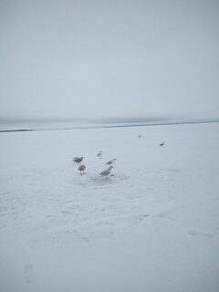 Белое море под Северодвинском: корюшка на махалку, она же блесна, у Маяка - и суббота вышла удачной