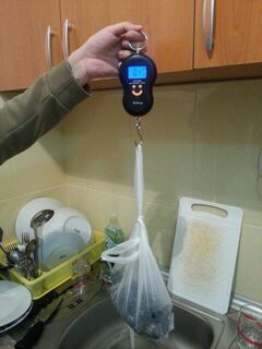 Море у Котора не порадовало, а Черное озеро разловило новый спиннинг