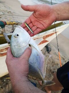 Индийский океан, Шри-Ланка: утренняя самостоятельная рыбалка на пилькеры у Тангалле
