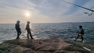 Шри-Ланка: вчера паровоз, а сегодня рыба ушла со своих же плохих крючков - два хвоста в Индийском океане