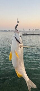 Катар, Доха и набережная Корниш: береговой рокфишинг на граммовые приманки в Персидском заливе