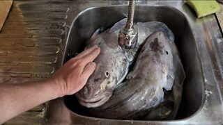 Владивосток: отвесная ловля трески на пилькер методом slow jigging в море до 200 метров