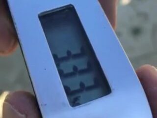 Кипр и чемпионат по бассу: первый его этап 2020 года прошёл, трудно было, рыбы мало, зато крупная