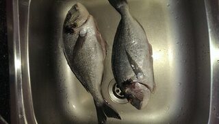 На Кипре с берега две дорады около полкило и фото уже после потрошения