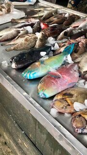 На Пхукете от морепродуктов глаза разбегаются