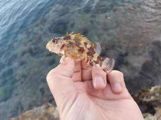 Крит, Ретимно с 28 мая по 8 июня: пресный пруд и ловля в море на отводной и микроджиг