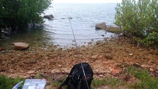 Варадеро и Карденас, Куба: мелкий улов, морские ежи и выбор между дельфинарием и каналом