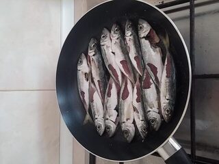 Севастополь и Чёрное море: вечерняя ставрида на спиннинг, скорпены и прогулки с семьёй