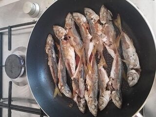 Севастополь и Чёрное море: вечерняя ставрида на спиннинг, скорпены и прогулки с семьёй