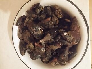 Севастополь и Чёрное море: вечерняя ставрида на спиннинг, скорпены и прогулки с семьёй