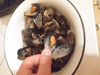Севастополь и Чёрное море: вечерняя ставрида на спиннинг, скорпены и прогулки с семьёй