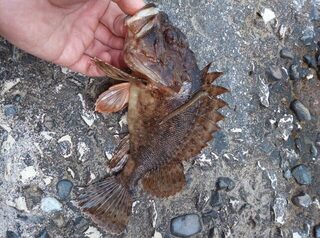 После пресной воды море бьет по эмоциям
