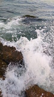 Крайняя вылазка не радовала совсем: Чёрное море, погодка менялась, а рыба бастовала, как только умела