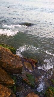 Крайняя вылазка не радовала совсем: Чёрное море, погодка менялась, а рыба бастовала, как только умела