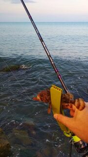 Крайняя вылазка не радовала совсем: Чёрное море, погодка менялась, а рыба бастовала, как только умела