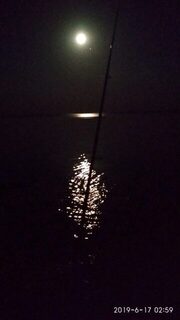 Два монстра разогнули крючки на Черном море при удилище до 14 г