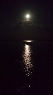 Два монстра разогнули крючки на Черном море при удилище до 14 г