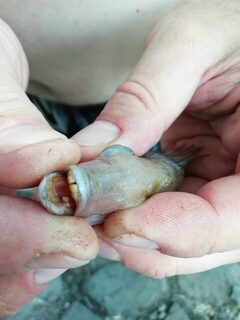 Первая морская рыбалка на Большом Утрише с 6 по 16 июня