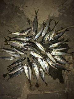 Ночью на Чёрном море бомбарда и джиг разделили счёт поровну