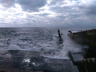 Смарида, ставрида и луфарь - пока Чёрное море не штормит