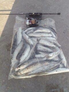Тест новой палочки с полиэстером 1lb на Чёрном море до полудня