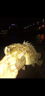 Чёрное море: ерши в прилове, когда хочется поймать горбыля, и любимое горячее копчение