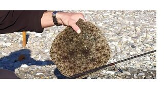 Мартовский улов с берега Черного моря на силиконовый виброхвост