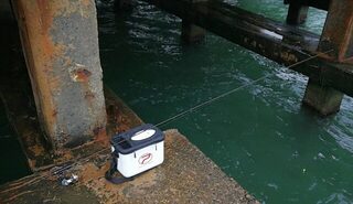 Чёрное море, Новомихайловский: ловля карася с лодки и с пирса в Лермонтово