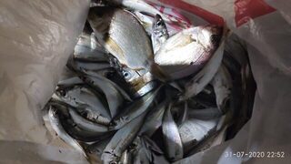 С центрального пирса иногда попадается и горбыль