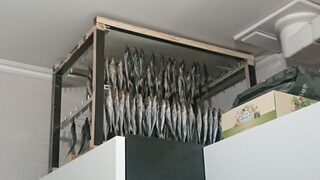 Ставриду на Чёрном море берут рано утром и как стемнеет, а с лодки и того проще