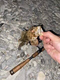 После заката на Чёрном море сын снова обловил меня на червей