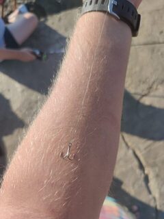 Сын собирается купить снасти в Судаке, но море уже похолодало