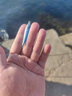 Сын собирается купить снасти в Судаке, но море уже похолодало