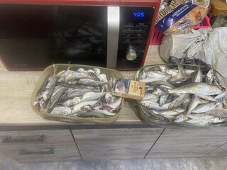 С шести до полудня на Черном море, рыба на жарку и в коптилку