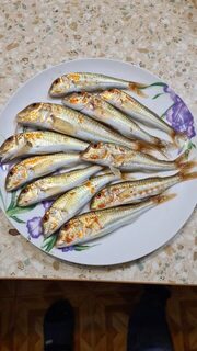 За час вечерней рыбалки барабуля на Черном море нашлась