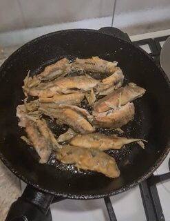 За час вечерней рыбалки барабуля на Черном море нашлась