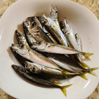 Два вечерних часа на Черном море дали хоть какой-то улов