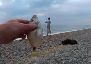 Ласкирь на Чёрном море с подсказки бахчисарайского рыбака и прилов на коптильню