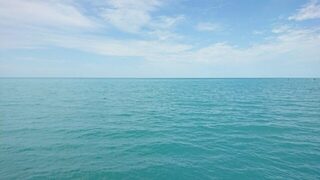 Чёрное море почти в штиль: спиннинг, мелкая барабулька с отпусканием и дельфины после пира
