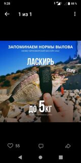 Черноморские памятки 2022 года