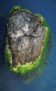 Новомихайловский и Чёрное море: вялая рыба, ласкирь с икрой и барабулька при видимости 2-3 метра