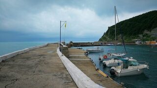 Новомихайловский и Чёрное море: вялая рыба, ласкирь с икрой и барабулька при видимости 2-3 метра