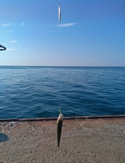 На Чёрном море рывковая бомбарда с головкой и слагом оказались лучше короткого варианта