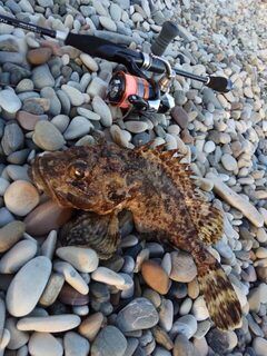 Первые скорпены и детский восторг от рыбалки на Чёрном море