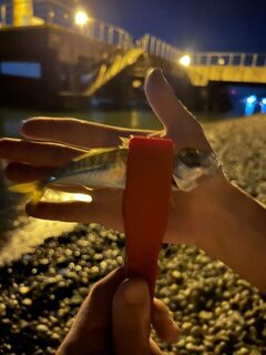 Пицунда и Чёрное море: хорошая рыбалка и ночное падение с пирса в воду вместе с телефоном