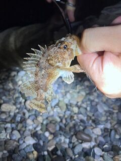 Пицунда и Чёрное море: хорошая рыбалка и ночное падение с пирса в воду вместе с телефоном